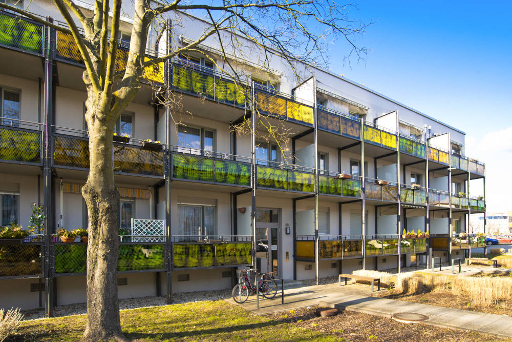 2-Raum Wohnung in Virchowstraße 38 (Stadtzentrum)